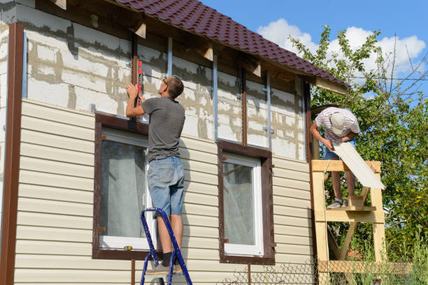 Best Vinyl Siding Installation  in Despard, WV