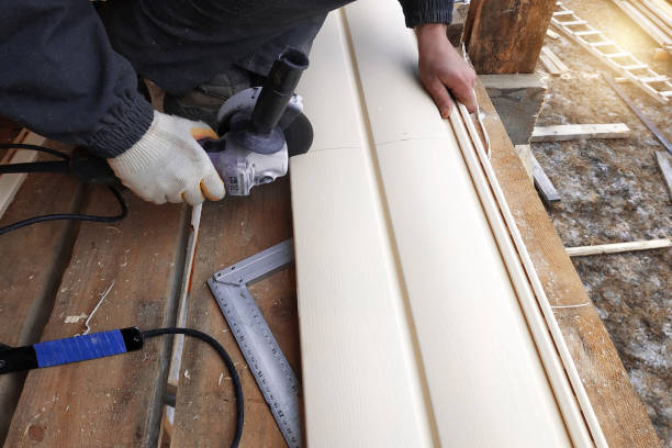 Best Storm Damage Siding Repair  in Despard, WV