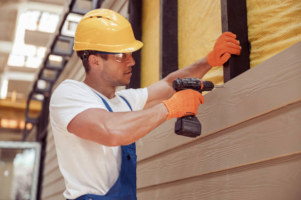 Affordable Siding Repair and Maintenance Services in Despard, WV