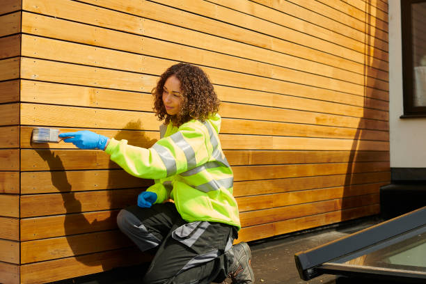Reliable Despard, WV Siding Solutions