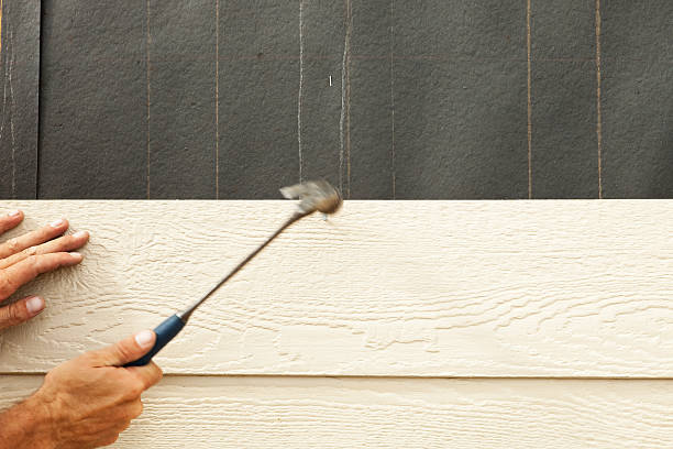 Affordable Siding Repair and Maintenance Services in Despard, WV